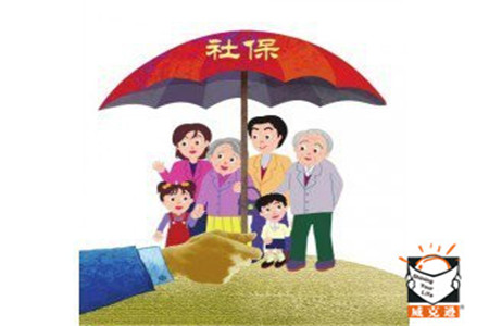 最新社会保险费缴纳政策