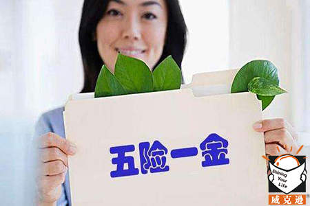 个人五险一金需要交多少年？