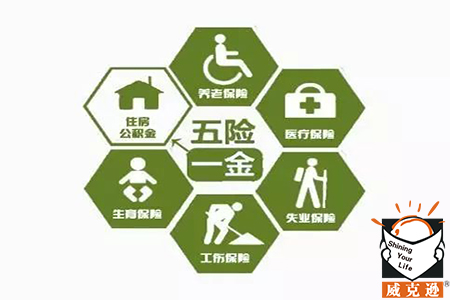 在上海交社保停了，钱可以拿出来吗？
