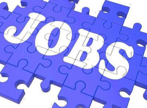 辽宁：多渠道发力推动高校毕业生就业