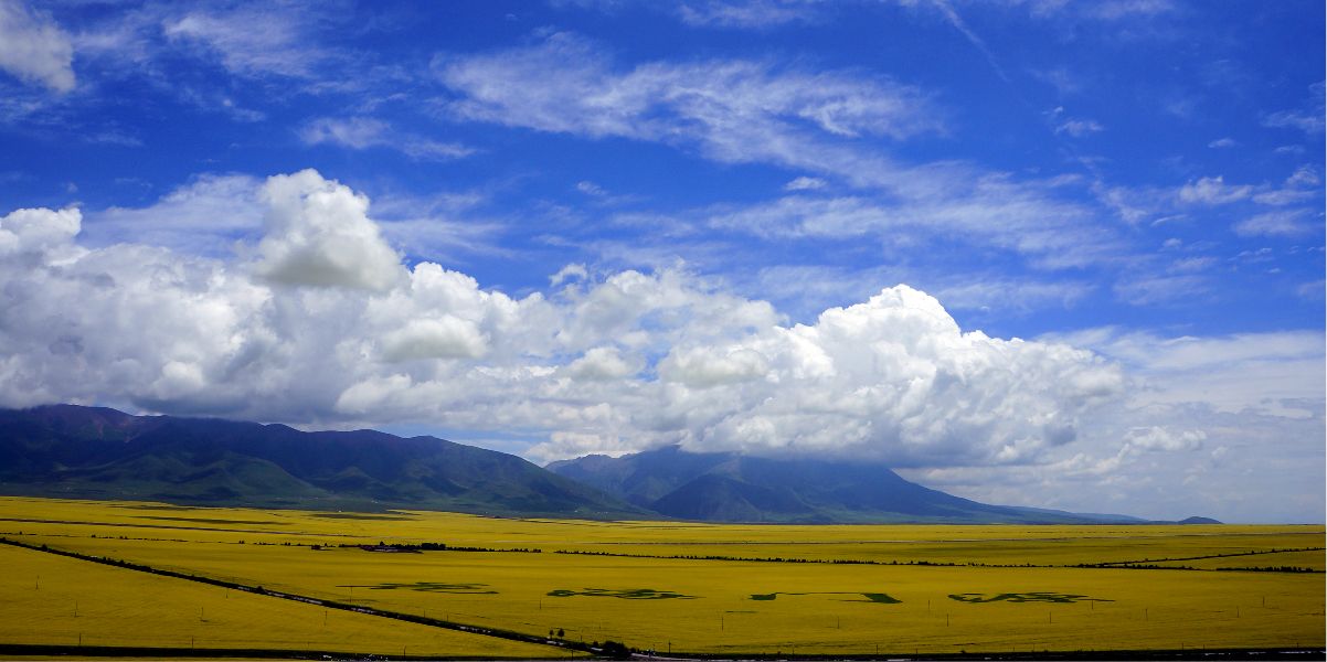 青海：深化“放管服”改革 91项服务事项“一网通办”