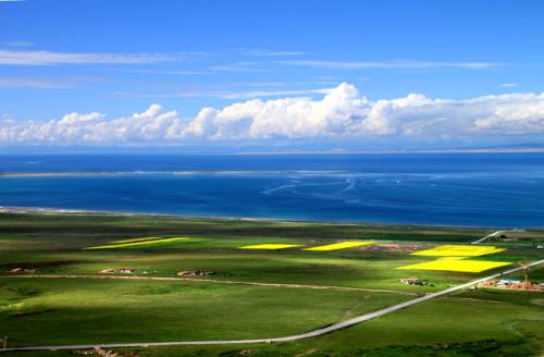 青海：贫困劳动力就业规模达17万人